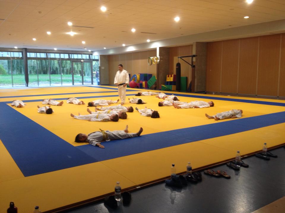 Les nouveaux tatamis aux Arènes Les nouveaux tatamis aux Arènes