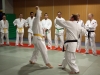 Jujitsu