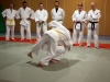 Jujitsu