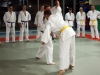 Jujitsu
