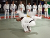 Jujitsu