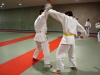 Jujitsu