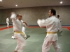 Jujitsu
