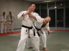 Jujitsu