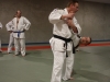 Jujitsu