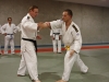Jujitsu