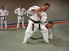 Jujitsu