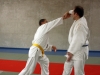 Jujitsu