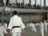 Fête Metz Judo Jujitsu - 27 juin 2010