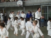 Fête Metz Judo Jujitsu - 27 juin 2010
