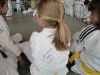 Fête Metz Judo Jujitsu - 27 juin 2010