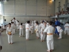 Fête Metz Judo Jujitsu - 27 juin 2010
