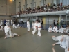 Fête Metz Judo Jujitsu - 27 juin 2010
