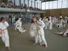 Fête Metz Judo Jujitsu - 27 juin 2010