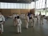 Fête Metz Judo Jujitsu - 27 juin 2010