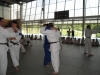 Fête Metz Judo Jujitsu - 27 juin 2010