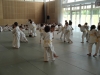 Fête Metz Judo Jujitsu - 27 juin 2010