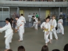 Fête Metz Judo Jujitsu - 27 juin 2010
