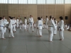 Fête Metz Judo Jujitsu - 27 juin 2010