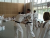 Fête Metz Judo Jujitsu - 27 juin 2010