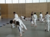 Fête Metz Judo Jujitsu - 27 juin 2010