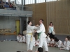 Fête Metz Judo Jujitsu - 27 juin 2010