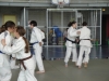Fête Metz Judo Jujitsu - 27 juin 2010