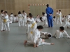 Fête Metz Judo Jujitsu - 27 juin 2010