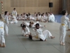 Fête Metz Judo Jujitsu - 27 juin 2010