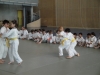 Fête Metz Judo Jujitsu - 27 juin 2010