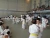 Fête Metz Judo Jujitsu - 27 juin 2010
