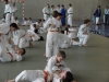 Fête Metz Judo Jujitsu - 27 juin 2010