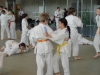 Fête Metz Judo Jujitsu - 27 juin 2010