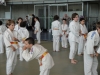 Fête Metz Judo Jujitsu - 27 juin 2010