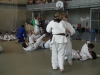 Fête Metz Judo Jujitsu - 27 juin 2010