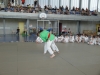 Fête Metz Judo Jujitsu - 27 juin 2010