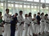 Fête Metz Judo Jujitsu - 27 juin 2010