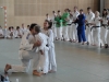 Fête Metz Judo Jujitsu - 27 juin 2010