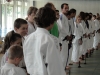 Fête Metz Judo Jujitsu - 27 juin 2010