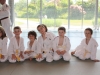 Fête Metz Judo Jujitsu - 27 juin 2010