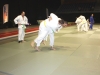Jujitsu