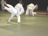 Jujitsu