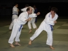 Jujitsu