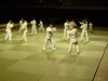 Jujitsu