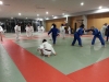 Equipe de Cuba - Janvier 2014