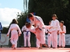 Sentez-vous Sport 2014