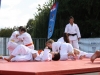 Sentez-vous Sport 2014