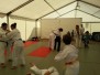 Sentez-vous Sport 2013