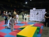 Arts'n Sports 2013