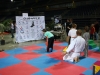 Arts'n Sports 2013
